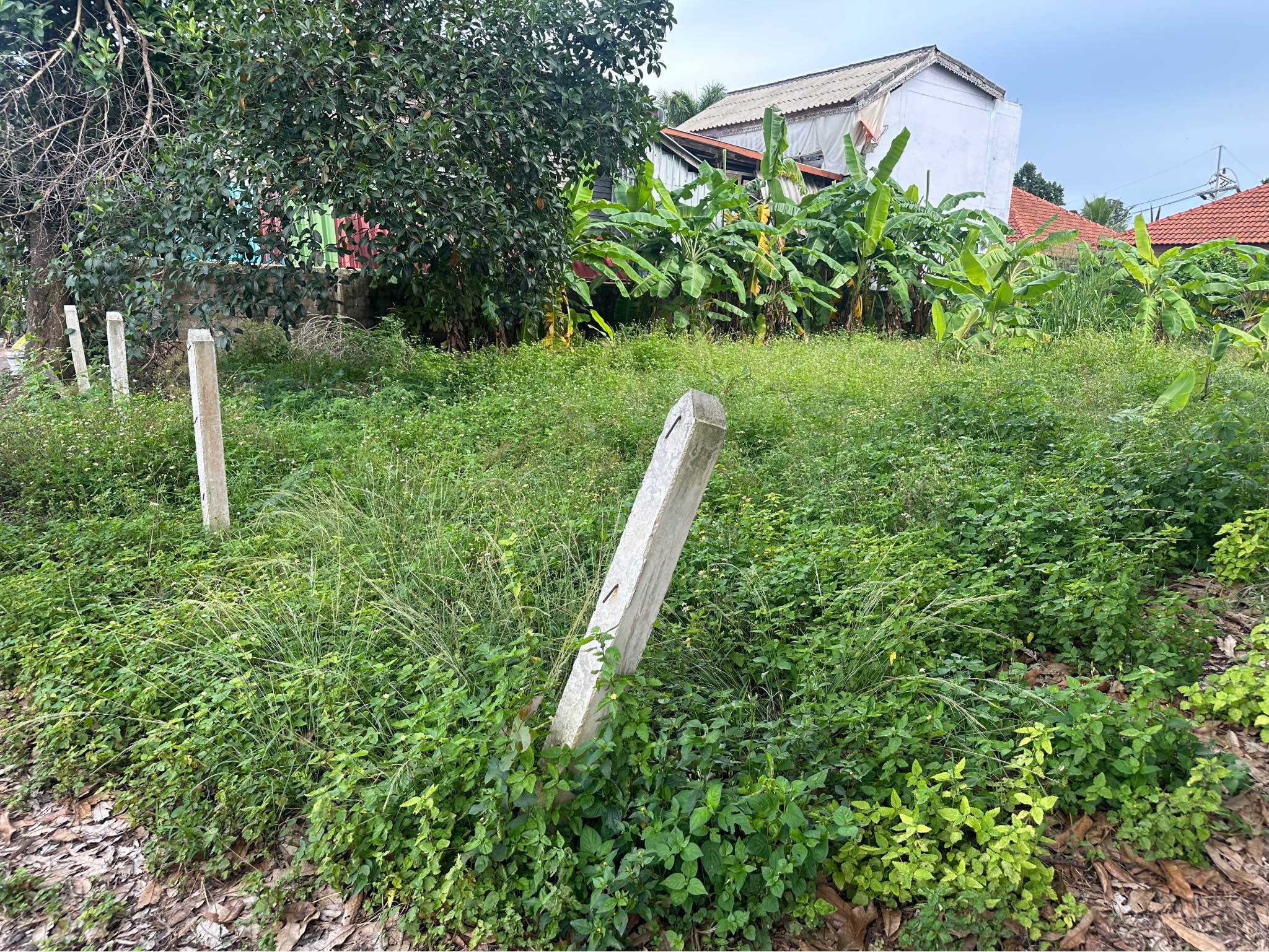 LAND FOR SALE 

Location: Bangrak
Land size : 648 square meters  
Title deed : C…